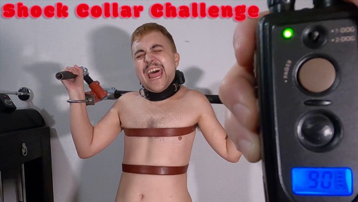 Shock Collar Challenge
