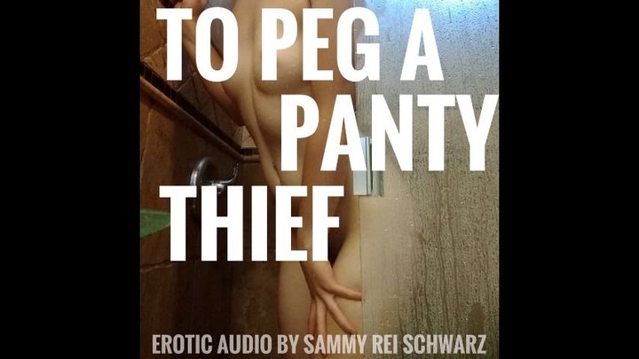 To Peg A Panty Thief Audio Only