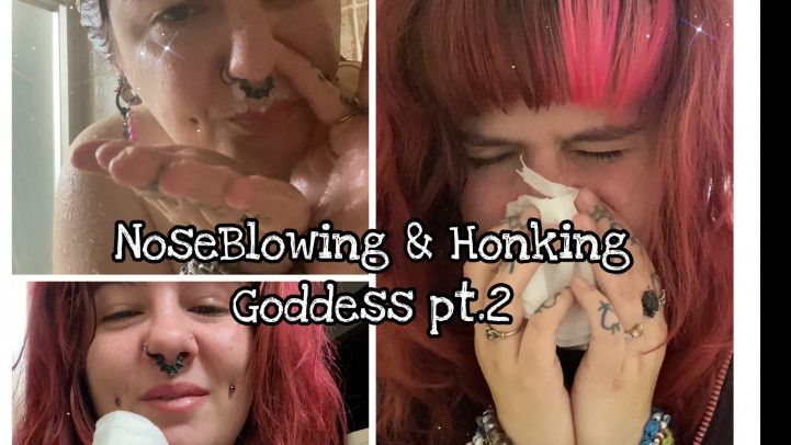 Noseblowing &amp; Nosehonking Goddess pt.2