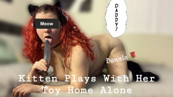 Kitten Plays With Her Toy Home Alone