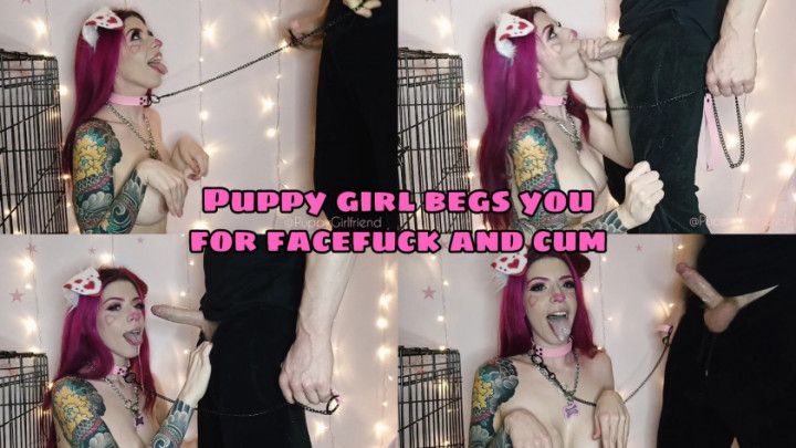 Puppy girl begs you for facefuck and cum