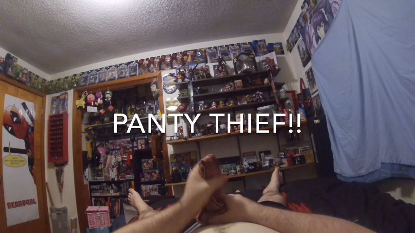 Panty Thief