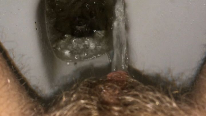 Sexy hairy pussy pissing in the toilet