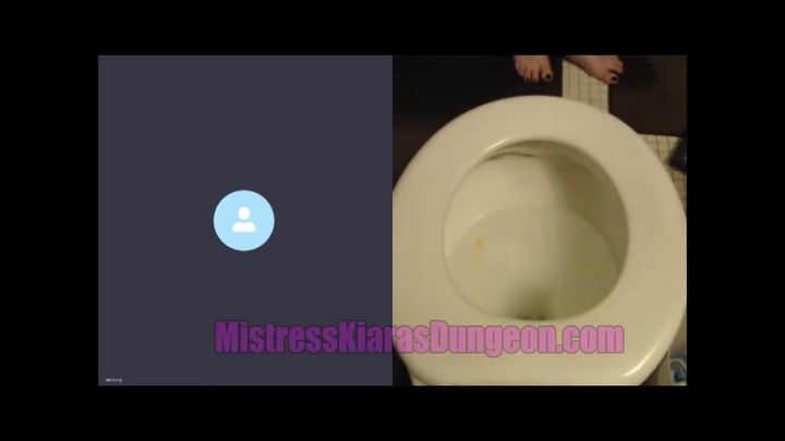 Toilet Humiliation Session With a loser