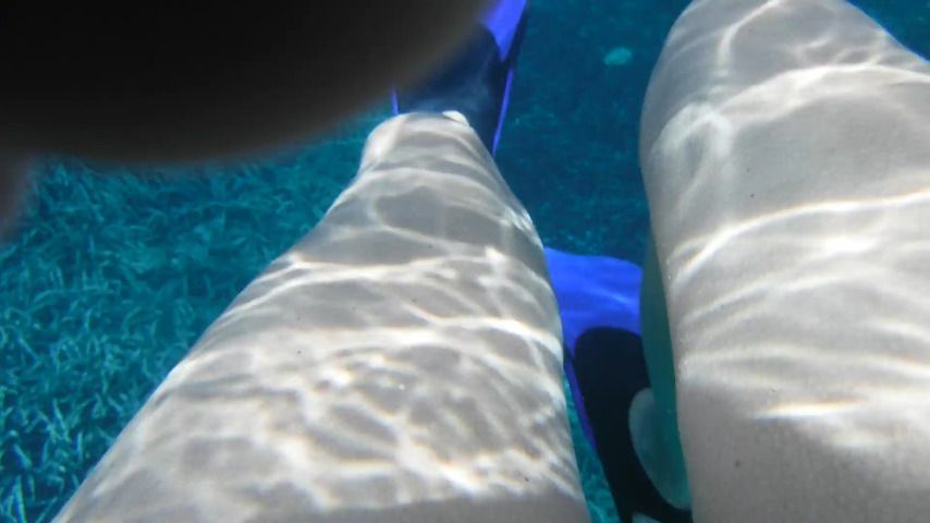 POV: Möppies floating underwater