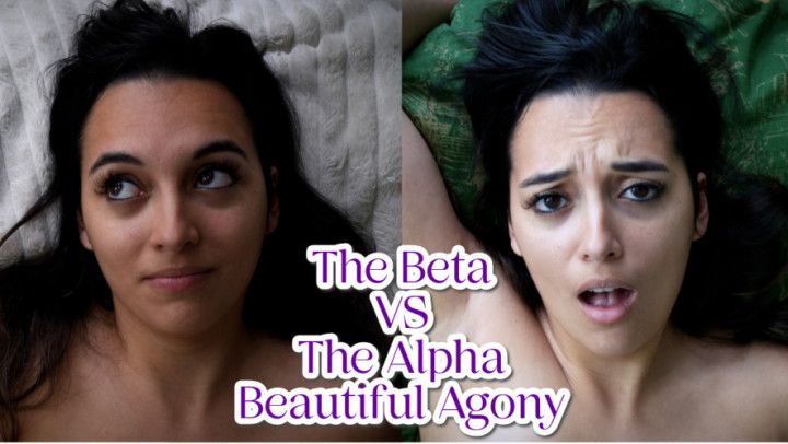 The Beta VS The Alpha Beautiful Agony