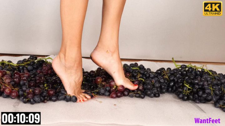 Polly Barefoot Grape Crush 4K