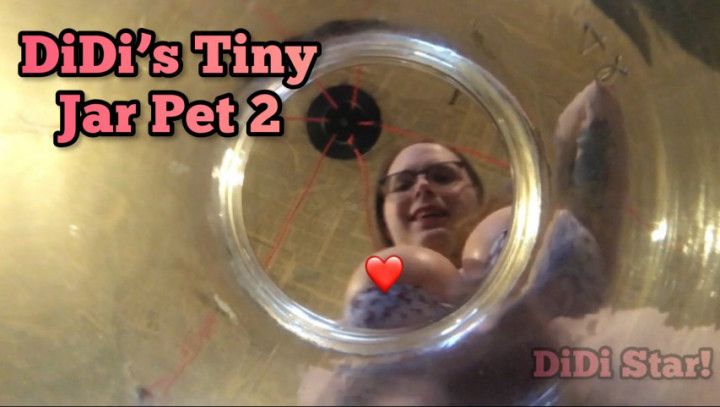 DiDi's Tiny Jar Pet 2
