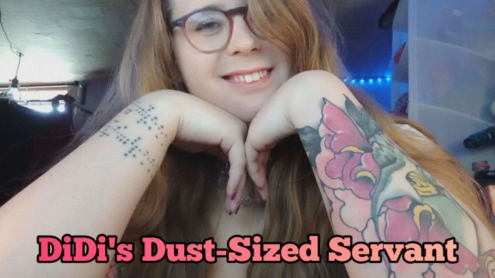 DiDi's Dust-Sized Servant