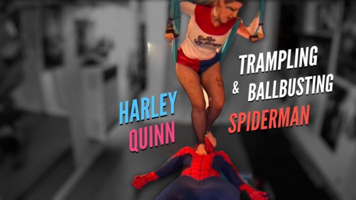Harley Quinn Trampling and Ballbusting Spiderman