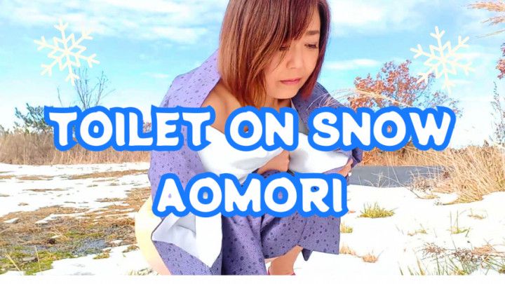 Toilet on snow Aomori