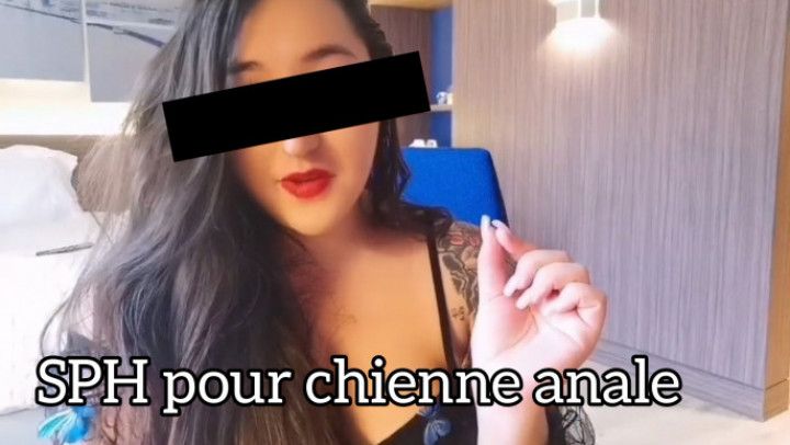 SPH pour chienne anale