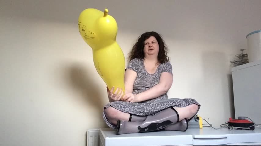 Ari Cat Wellies Yellow Balloon POP 1
