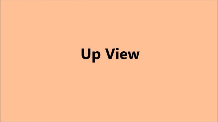 MrAlSouth - Up View