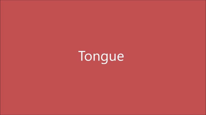 MrAlSouth - Tongue MV TUBE