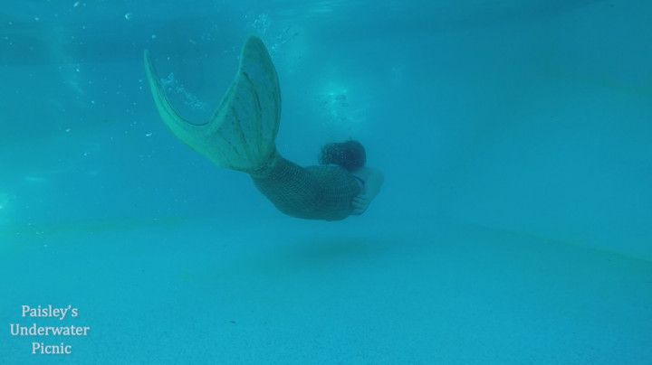 Mermaid Swimming