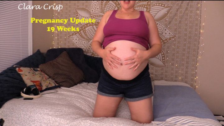 19 Week Pregnancy Update