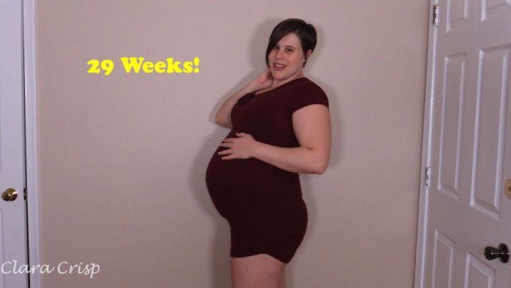 Pregnancy Diary Week 29