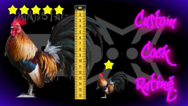 Custom Cock Rating for R