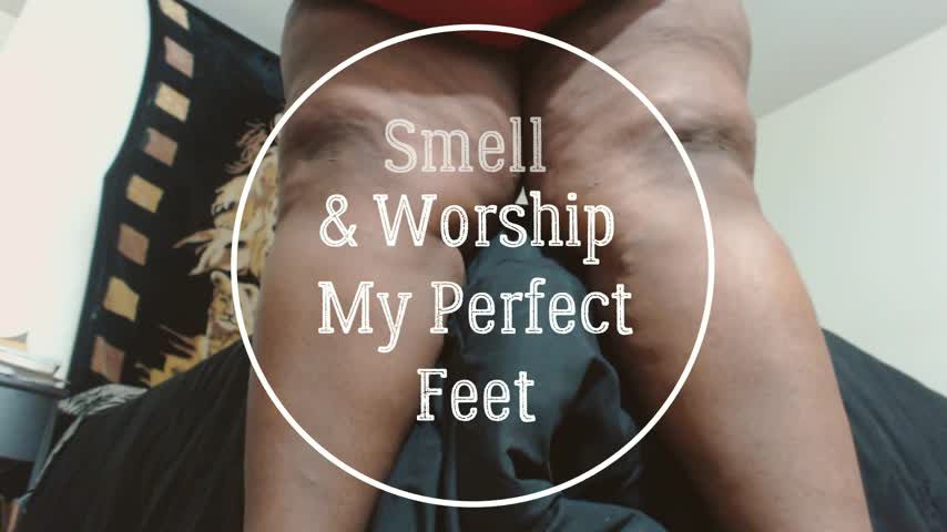 Smell and Worship My Perfect Feet