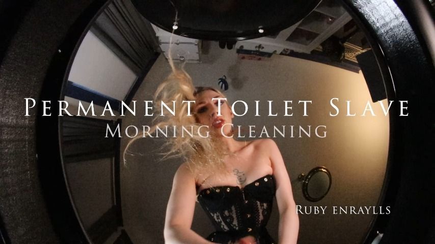 Toilet BoxPOV: Good Morning Toilet Slave