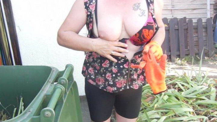 Tits in the garden