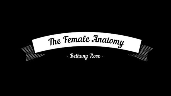 The Female Anatomy