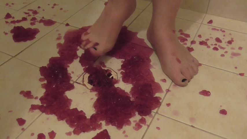 Red Jelly Foot Stomp