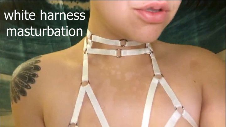 white harness masturbation