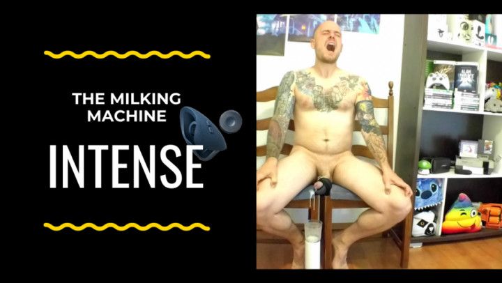 The milking chair - hands free intense