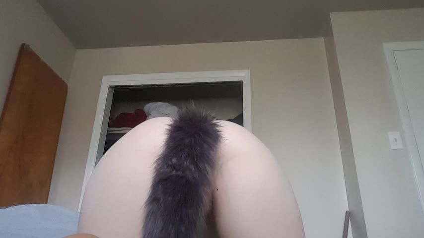 Daddy's Horny Kitty
