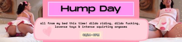 Hump Day Dildo Riding Orgasms show image