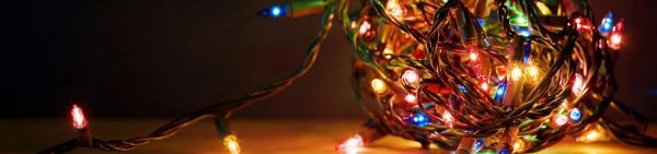 My true love gave to me .. show image