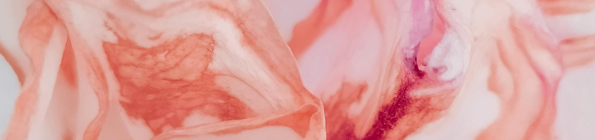 Scheduled show banner