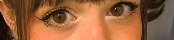 ❣️ Festive Holiday Tuesday❣️🎄 show image