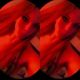 Anita Spurt Avatar
