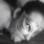 Anna_Sweet
