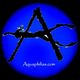 Aquaphilias Avatar