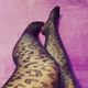 CuteMistress12