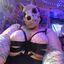 cutecryptid