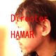 Director HAMAR