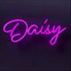 Dirtydaisywylde