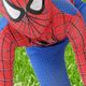 FlexibleBoy Avatar