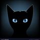 LadyPaws2Claws Avatar