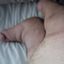 LeglessBear
