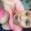 Little Dream Gemi