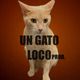 UN GATO LOCO Avatar