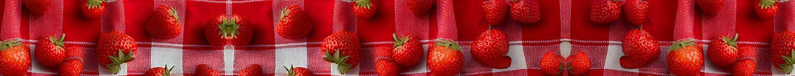 Picnic Party Contest