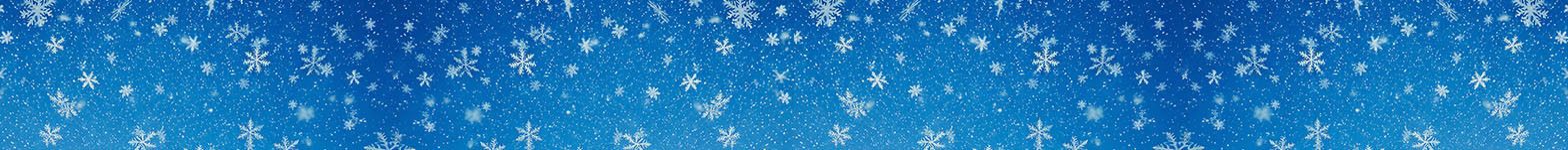 Holiday Hottie Contest