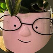 MstrNiceGuy avatar